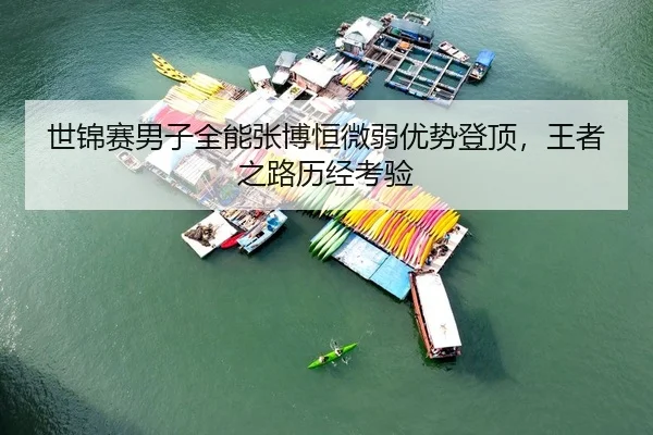 世锦赛男子全能张博恒微弱优势登顶，王者之路历经考验